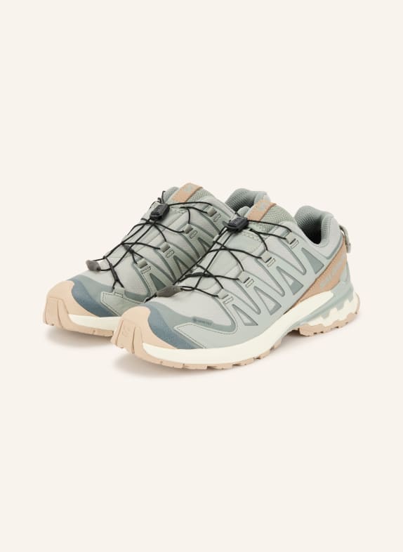 SALOMON Trailrunning-Schuhe  XA PRO 3D V9 GTX LIFELONG BEIGE / BLAUGRAU