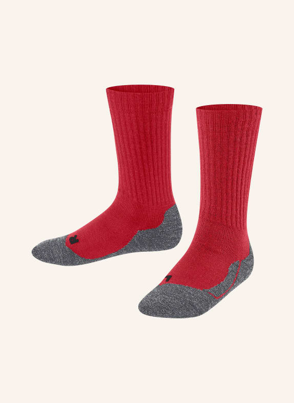 FALKE Thermal socks ACTIVE WARM 8000 LIPSTICK