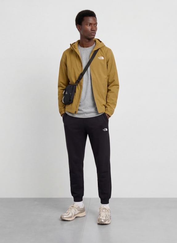 THE NORTH FACE T-shirt EVOLUTION SIMPLE DOME LICHTGRIJS