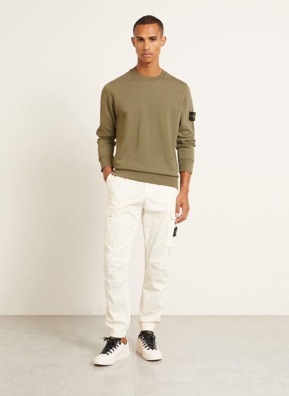 STONE ISLAND Sweatshirt OLIJF