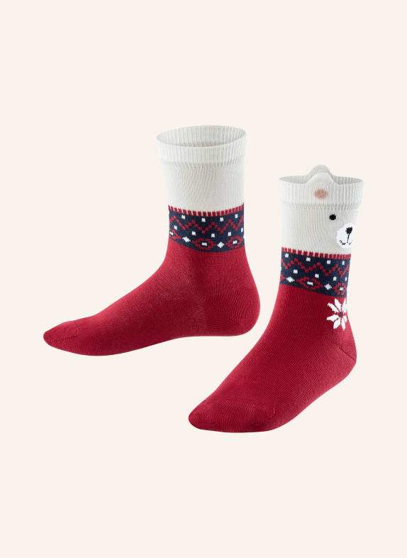 FALKE Sokken ICE BEAR 8830 RUBY