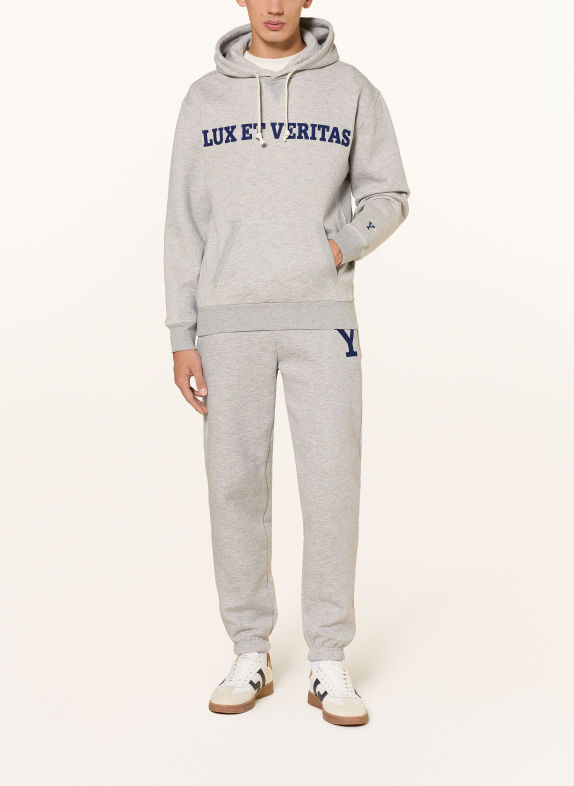 GANT Hoodie LIGHT GRAY / DARK BLUE
