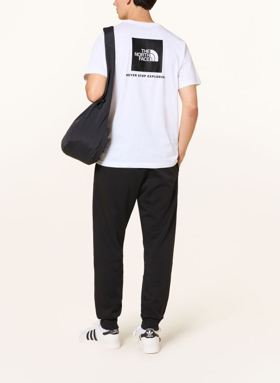 THE NORTH FACE T-shirt EVOLUTION BOX WIT