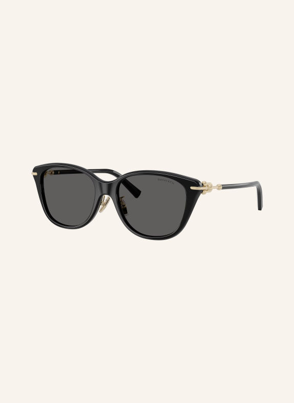 TIFFANY & Co. Sonnenbrille TF4267F SCHWARZ/ DUNKELGRAU