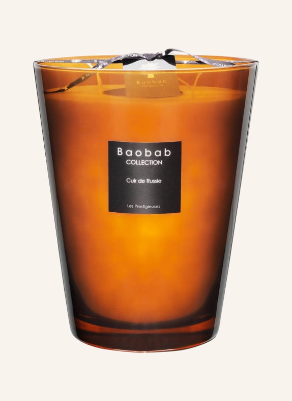 Baobab COLLECTION Vonná svíčka CUIR DE RUSSIE HNĚDÁ