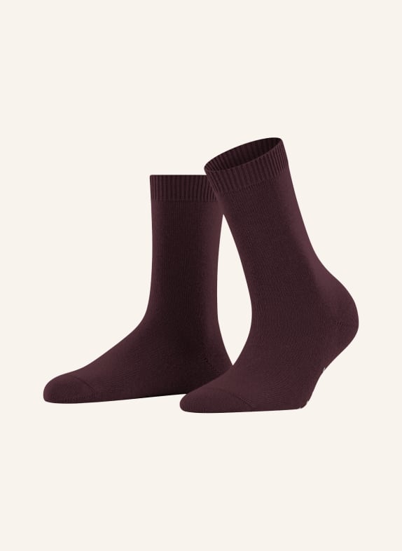 FALKE Socks COSY WOOL with merino wool 8596 BAROLO