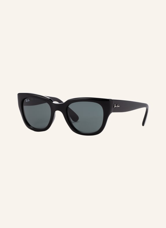 Ray-Ban Sunglasses RB4178 601/71 - BLACK/GREEN