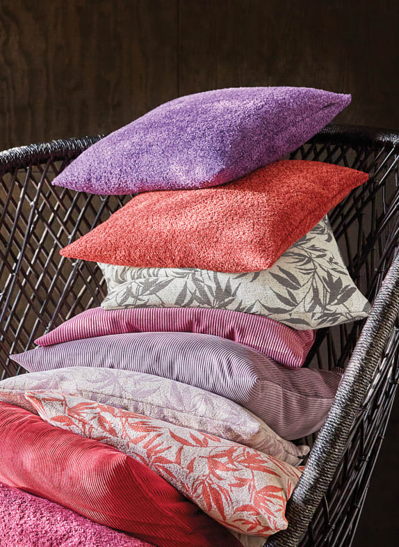 Proflax Kissen Neue Kollektion