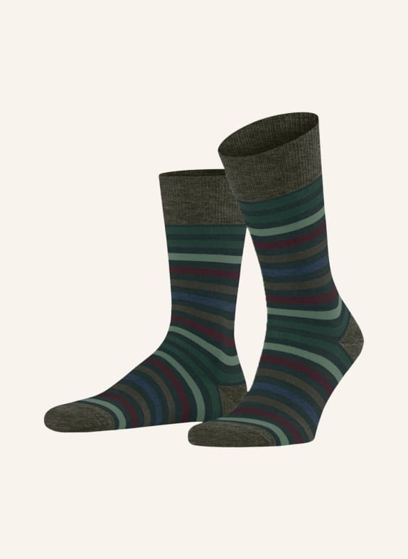 FALKE Socks TINTED STRIPE with merino wool 7992 WALD