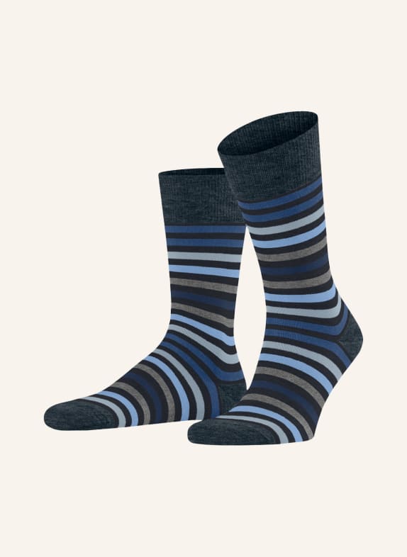 FALKE Ponožky TINTED STRIPE s příměsí merino vlny 6371 DARK NAVY