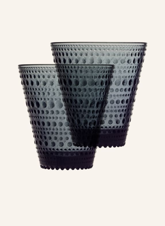 iittala 2er-Set Trinkgläser KASTEHELMI GRAU