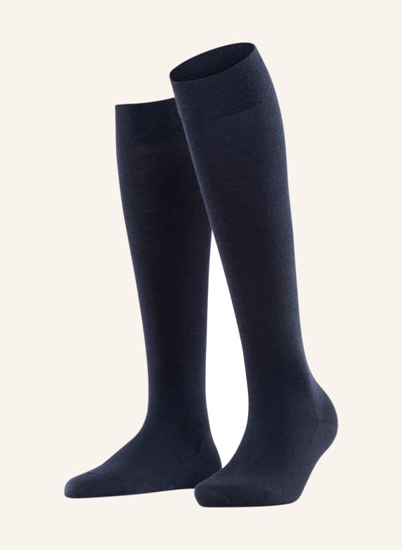 FALKE Knee high stockings SOFTMERINO with merino wool