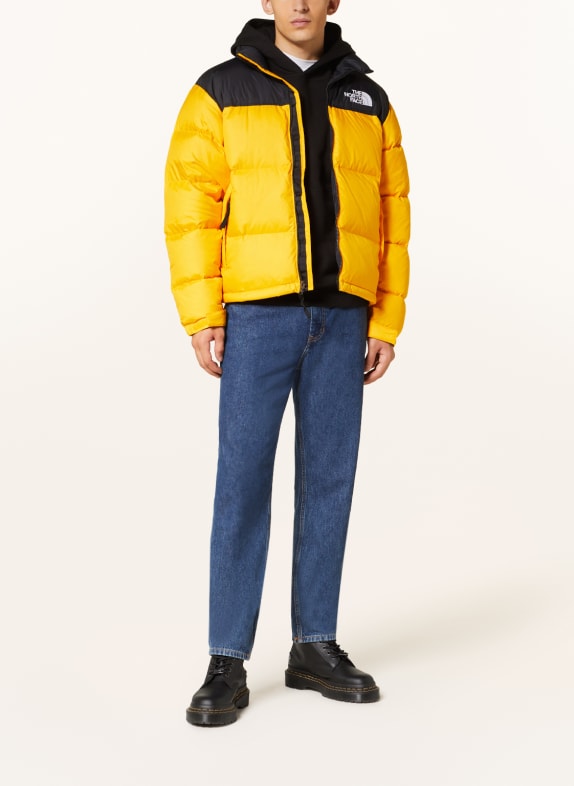 THE NORTH FACE Down jacket 1996 RETRO