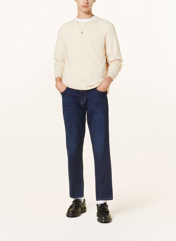 REPLAY Jeans SANDOT Relaxed Tapered