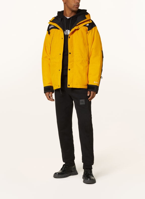 THE NORTH FACE Down jacket GTX MTN