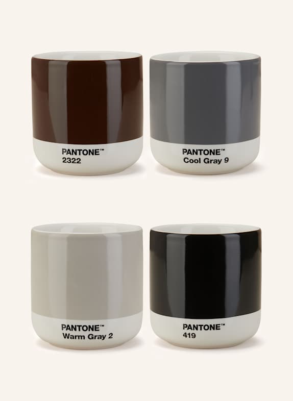 PANTONE Height: 8.5 cm GRAY/ BROWN/ BLACK