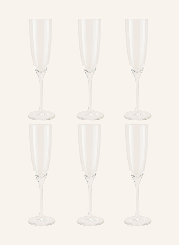 SCHOTT ZWIESEL set of 6 champagne glasses CLASSICO WHITE
