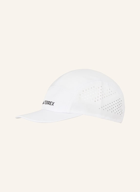 adidas TERREX Skihosen für Herren HELLGRAU/ SCHWARZ