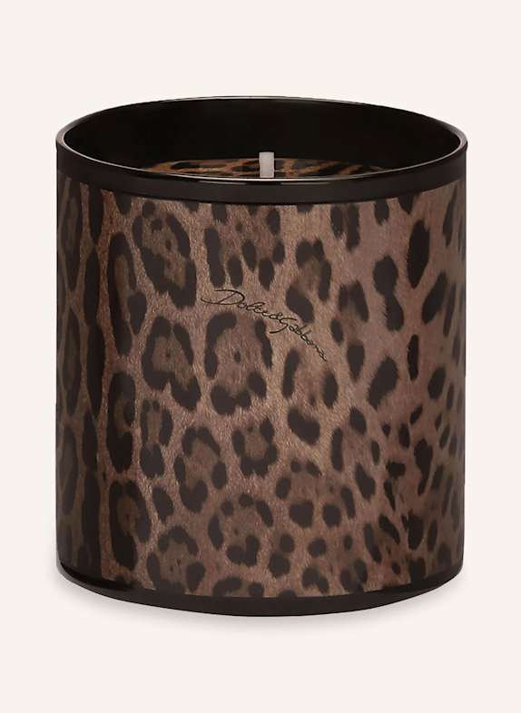 DOLCE & GABBANA CASA Duftkerze PATCHOULI BRAUN/ DUNKELBRAUN
