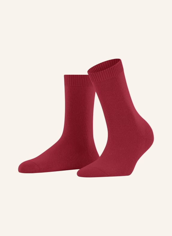 FALKE Socks COSY WOOL with merino wool 8228 SCARLET