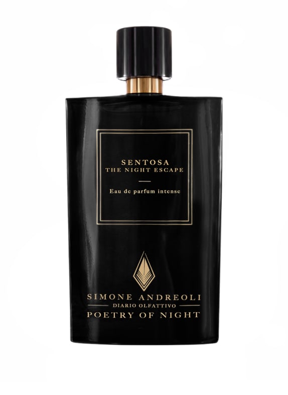 SIMONE ANDREOLI Daunenjacken für Herren