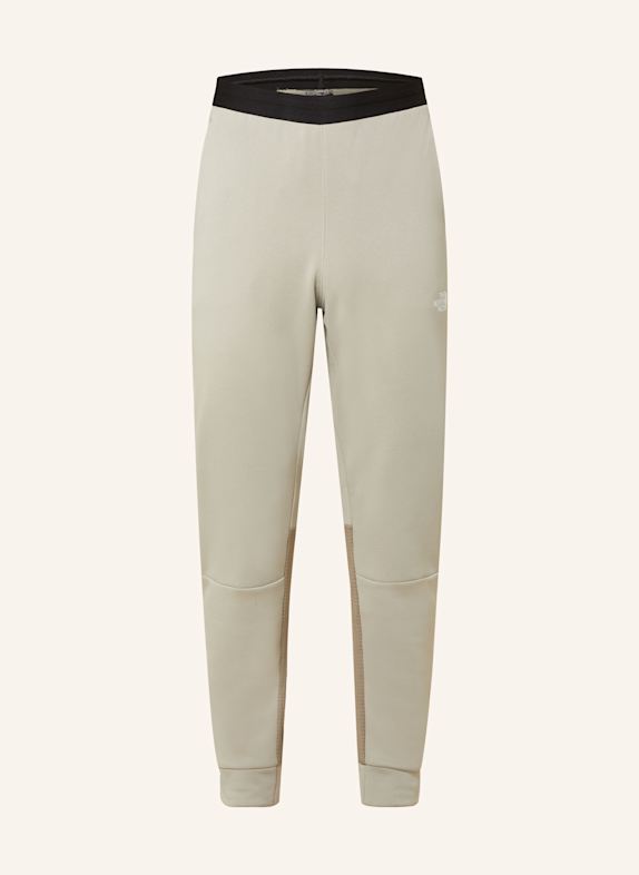 THE NORTH FACE Hiking pants GRAY/ BLACK