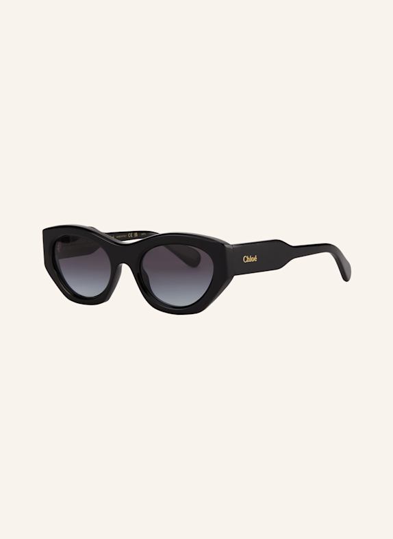 Chloé Sunglasses 6N000523 1100L1 - BLACK