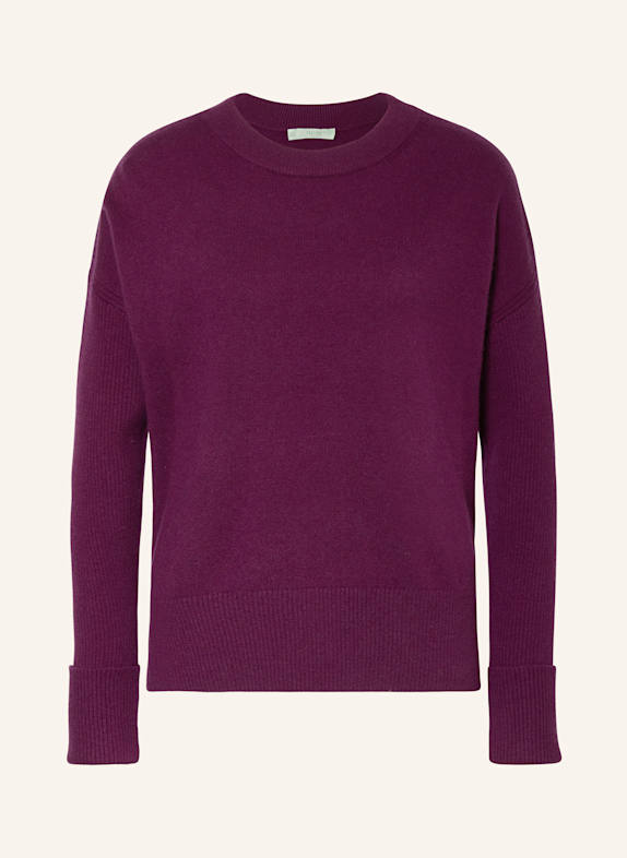 HOBBS Pullover DARLA FUCHSIA