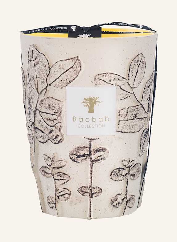 Baobab COLLECTION Duftkerze FOLIA CALANQUE CREME