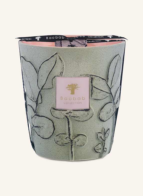 Baobab COLLECTION Duftkerze MAQUIS GRÜN