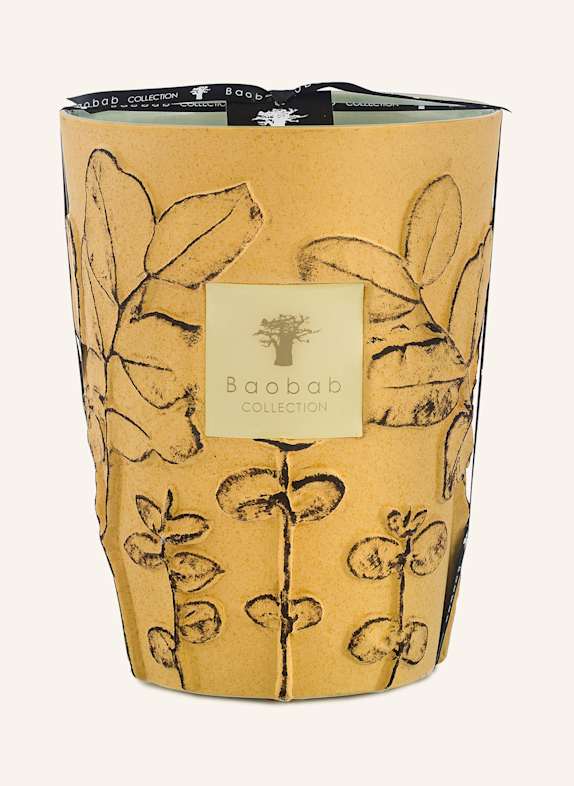 Baobab COLLECTION Duftkerze GARRIGUE DUNKELGELB