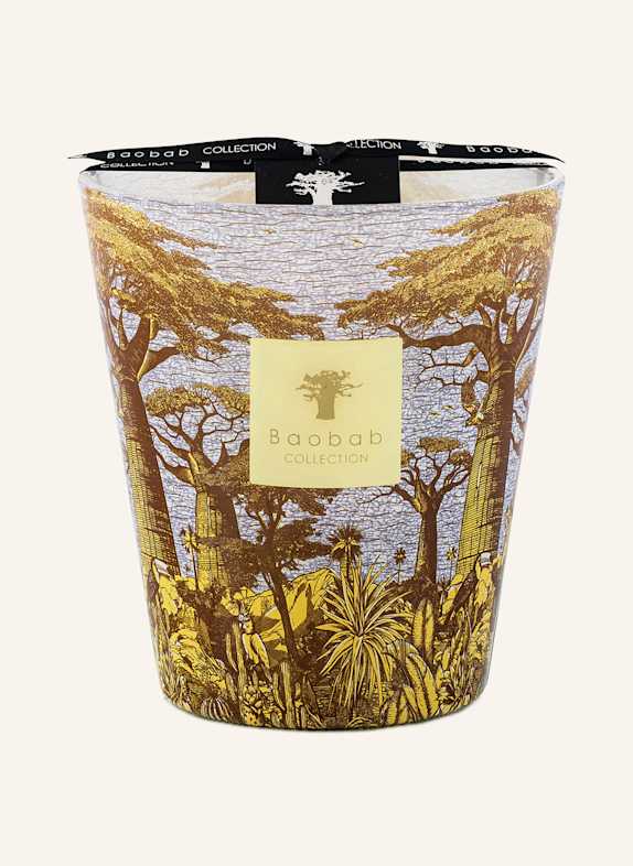 Baobab COLLECTION Duftkerze COCODY GELB/ BLAUGRAU