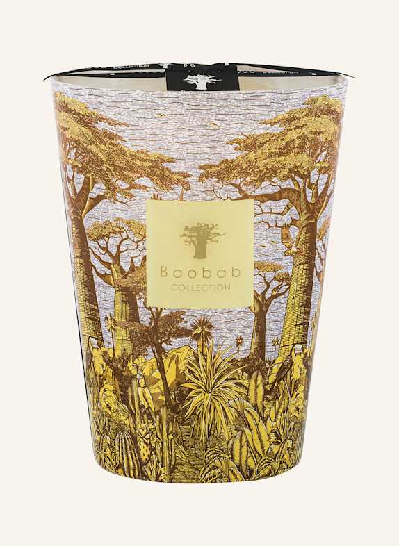 Baobab COLLECTION Duftkerze SACRED TREES COCODY GELB/ BLAUGRAU