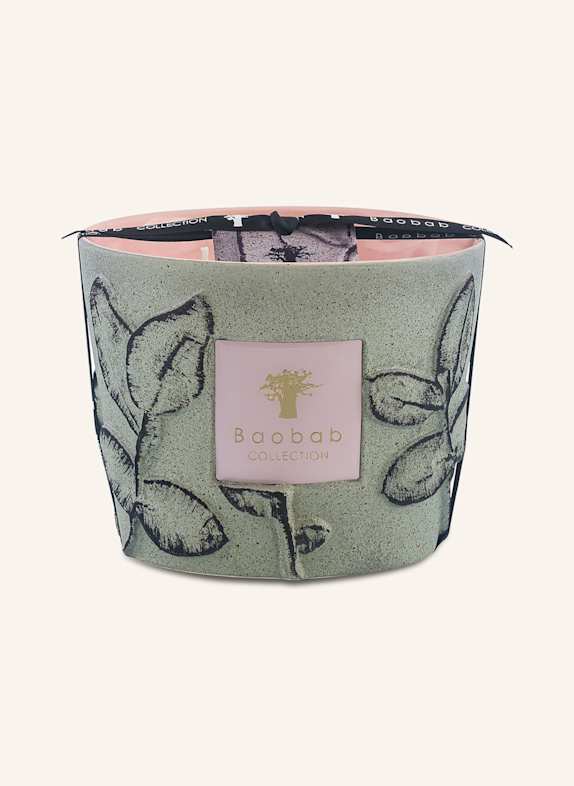 Baobab COLLECTION Duftkerze MAQUIS GRÜN