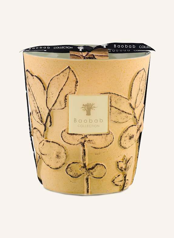Baobab COLLECTION Duftkerze GARRIGUE DUNKELGELB