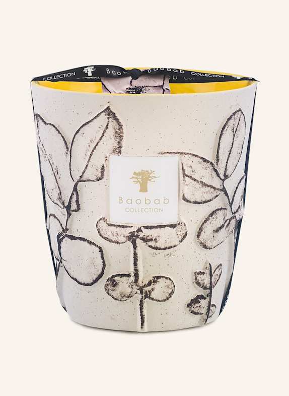 Baobab COLLECTION Duftkerze CALANQUE CREME