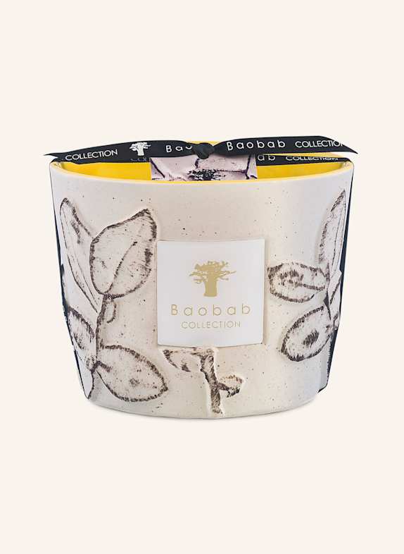 Baobab COLLECTION Duftkerze CALANQUE CREME