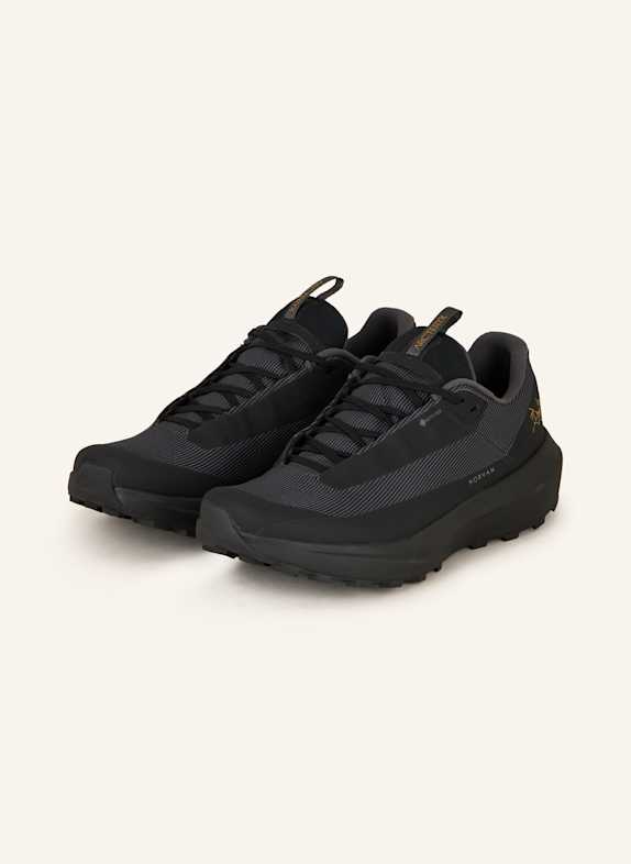 ARC'TERYX Trailrunning-Schuhe NORVAN LD 4 GTX SCHWARZ