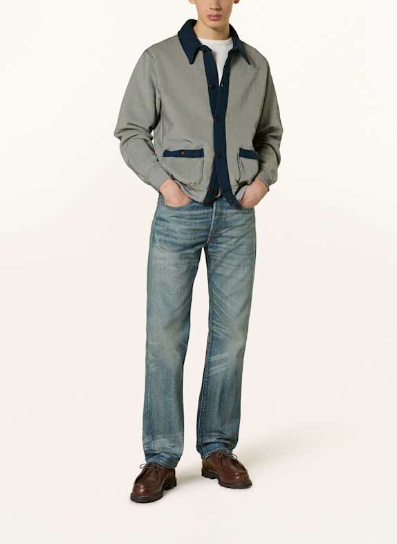 RRL RALPH LAUREN Sweater LICHTGROEN / DONKERBLAUW