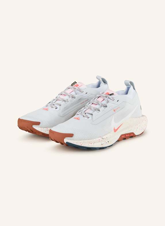 Nike Trailrunning-Schuhe PEGASUS TRAIL 5 GTX HELLGRAU