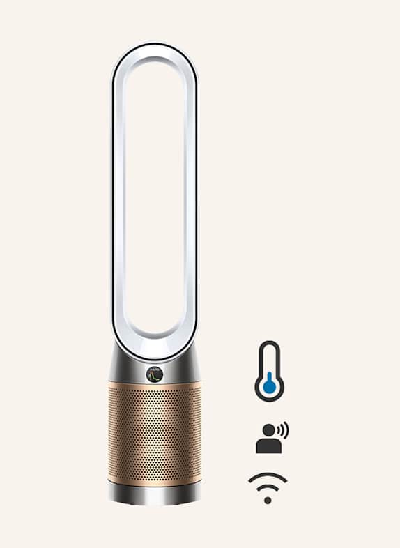 dyson PURIFIER COOL PC2 DE-NOX