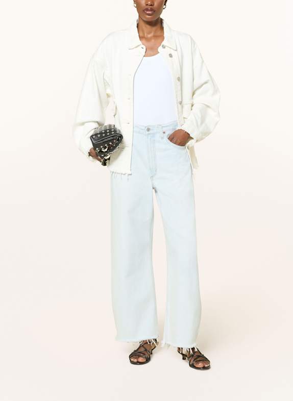 AGOLDE Jeans LOW CURVE JEANS CROPPED flourish pale vint ind