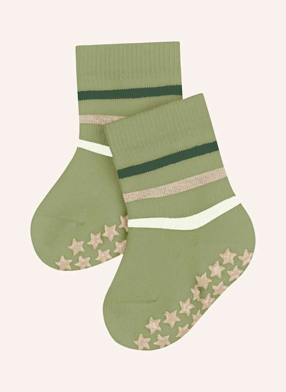 FALKE Login & Registration 7084 FERNGREEN