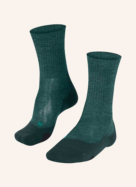 FALKE Special Offers Skip filter WOOL 7385 HOLLY