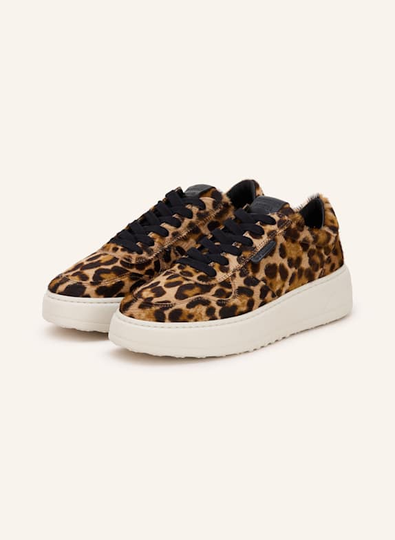 COPENHAGEN Sneakers CPH77 CAMEL/ DARK BROWN