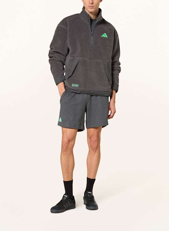 adidas Fleece-Troyer MERCEDES - AMG PETRONAS FORMULA ONE TEAM PREMIUM GRAU