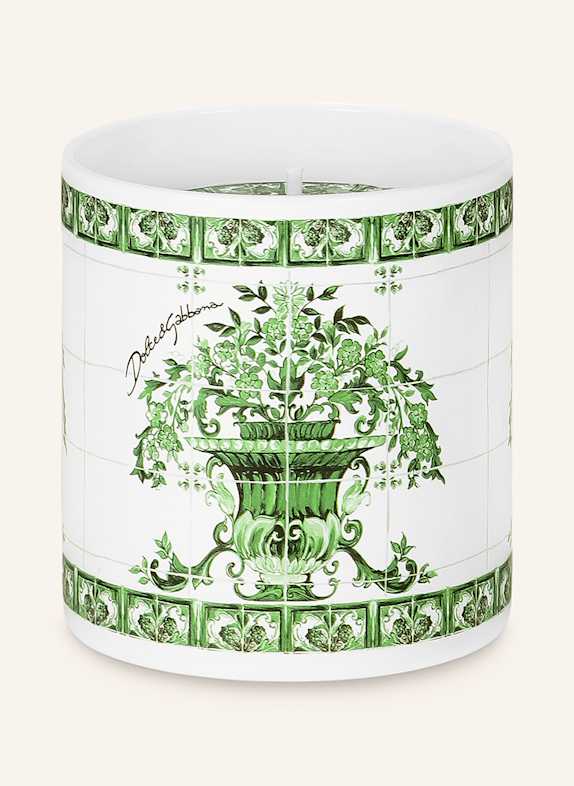 DOLCE & GABBANA CASA Duftkerze WEISS / GRÜN