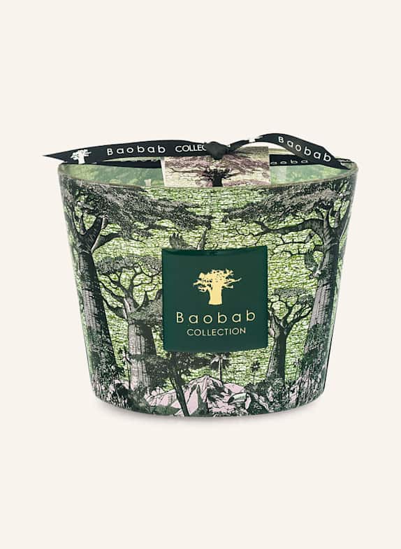 Baobab COLLECTION Duftkerze SACRED TREES TOUBA ROSA/ HELLGRÜN