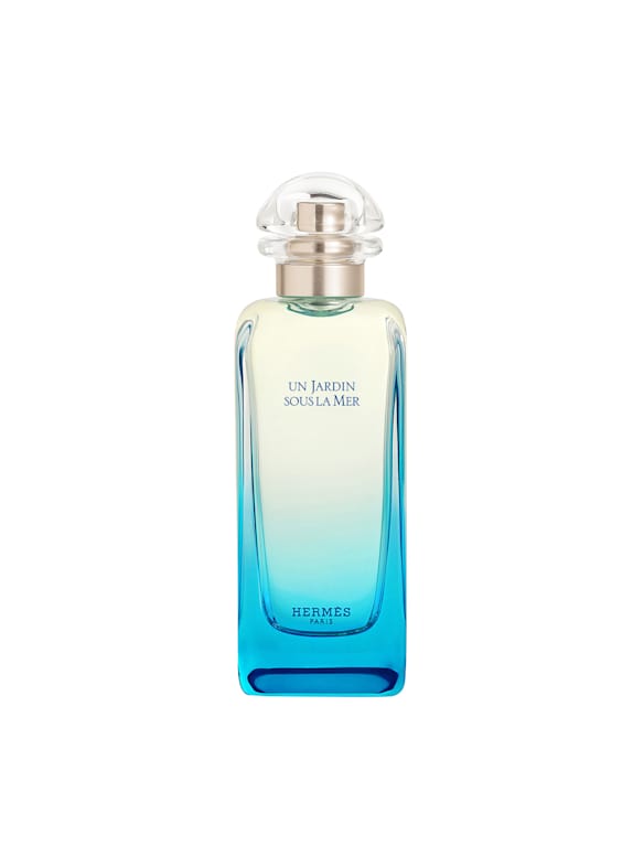 HERMÈS UN JARDIN SOUS LA MER