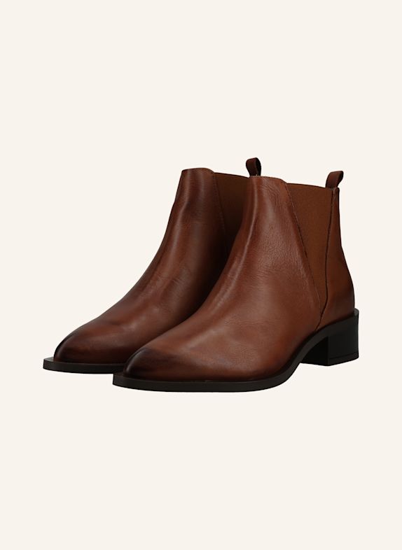 PAVEMENT Stiefelette ASHANTI 1 BRAUN